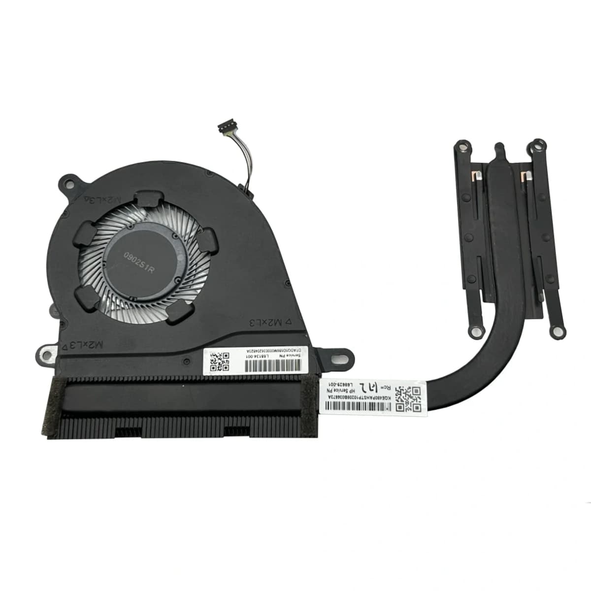 fan-1